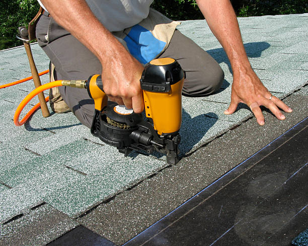 Best Roof Gutter Cleaning  in Rogersville, MO